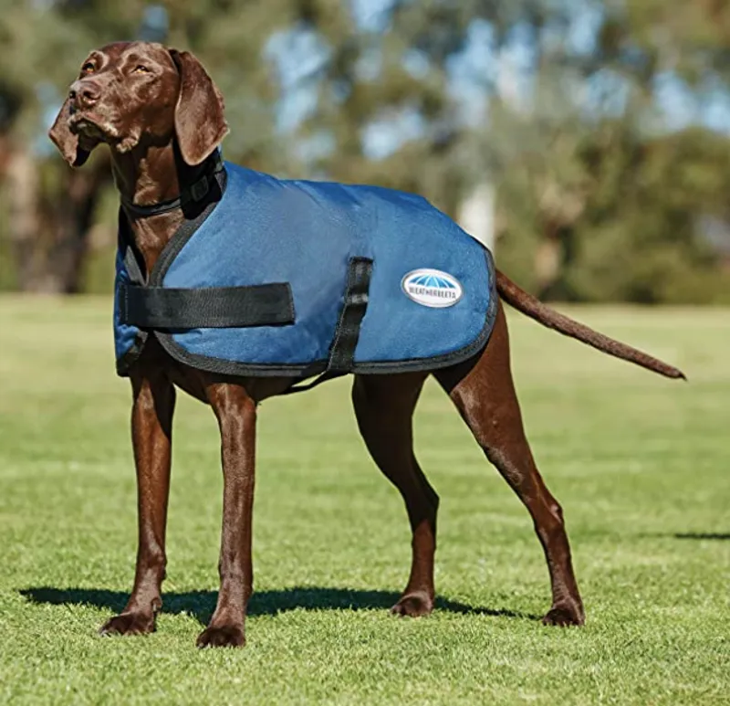 WeatherBeeta Classic Dog Coat Blue